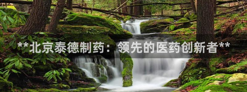 9游会老哥：**北京泰德制药：领先的医药创新者**