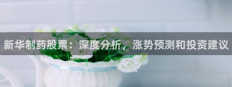 ag九游会老哥：新华制药股票：深度分析，涨势预测和投资建议