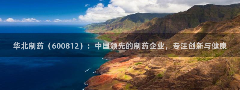 九游会老哥：华北制药（600812）：中国领先的制药企业，专注创新与健康
