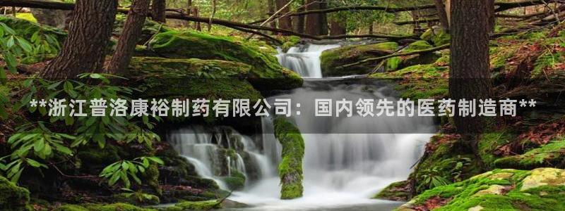老哥俱乐部是干什么的啊：**浙江普洛康裕制药有限公司：国内领先的医药制造商**