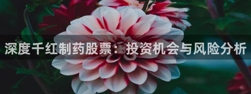 九游老哥俱乐部登录：深度千红制药股票：投资机会与风险分析