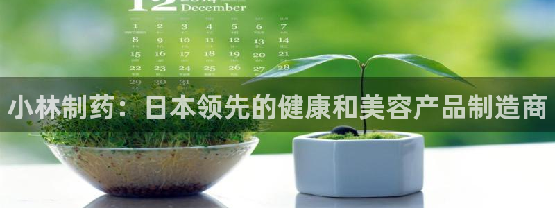 九游会老哥：小林制药：日本领先的健康和美容产品制造商