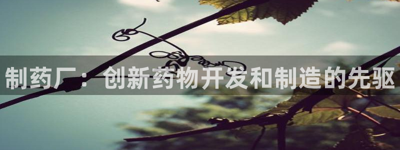 九游老哥俱乐部官网登录不了：制药厂：创新药物开发和制造的先驱
