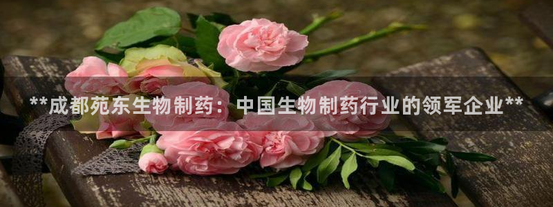 九游会老哥必备的交流社区：**成都苑东生物制药：中国生物制药行业的领军企业**