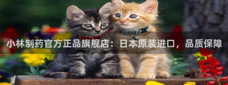 老哥吧九游会：小林制药官方正品旗舰店：日本原装进口，品质保障