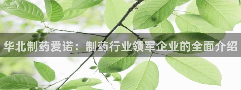 九游会老哥俱乐部官网首页：华北制药爱诺：制药行业领军企业的全面介绍