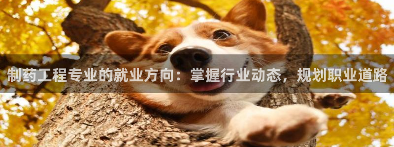 九游会老哥俱乐部官网首页论坛：制药工程专业的就业方向：掌握行业动态，规划职业道路