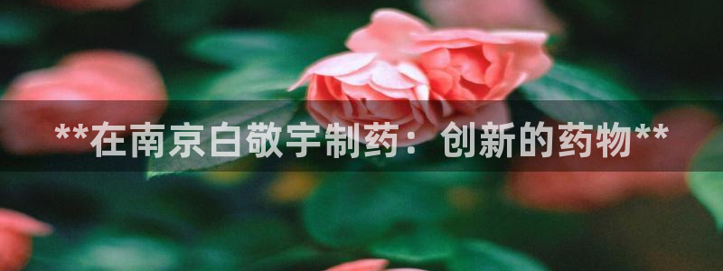 九游会老哥俱乐部官网首页论坛：**在南京白敬宇制药：创新的药物**