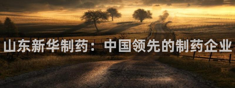 九游会老哥必备的交流社区：山东新华制药：中国领先的制药企业