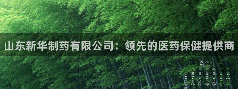 9游会老哥：山东新华制药有限公司：领先的医药保健提供商