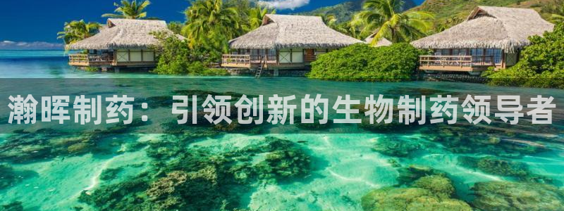 老哥俱乐部是干什么的啊：瀚晖制药：引领创新的生物制药领导者