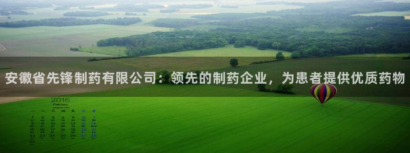 老哥俱乐部是干什么的：安徽省先锋制药有限公司：领先的制药企业，为患者提供优质药物