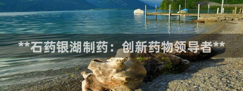 ag九游会老哥俱乐部：**石药银湖制药：创新药物领导者**