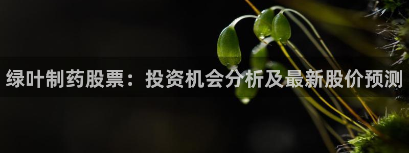 九游会老哥俱乐部交流社区：绿叶制药股票：投资机会分析及最新股价预测
