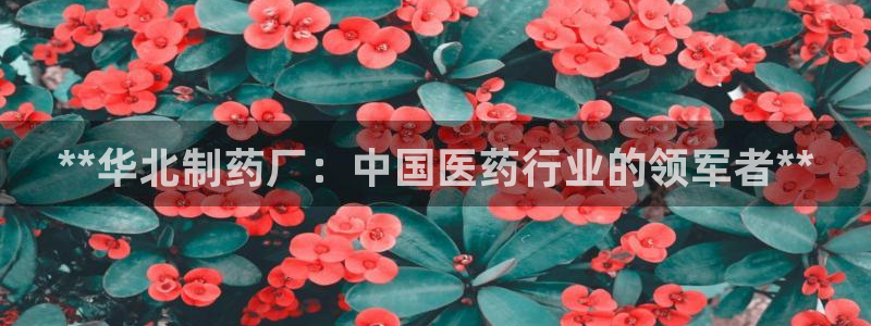 九游会老哥：**华北制药厂：中国医药行业的领军者**