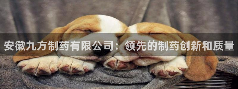 ag九游老哥俱乐部：安徽九方制药有限公司：领先的制药创新和质量