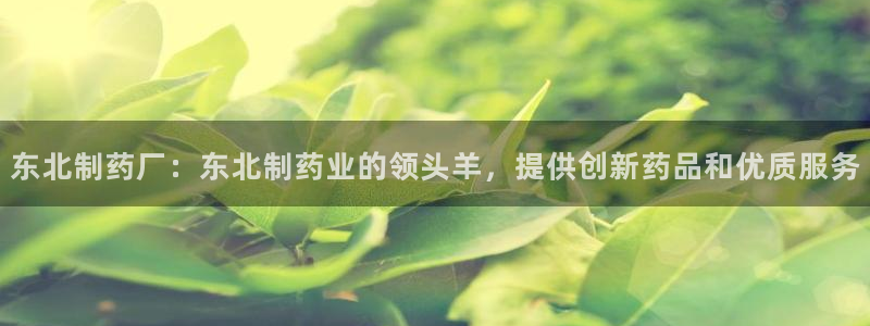 ag九游会老哥俱乐部：东北制药厂：东北制药业的领头羊，提供创新药品和优质服务