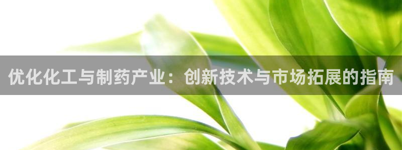 老哥吧九游会下架吗：优化化工与制药产业：创新技术与市场拓展的指南