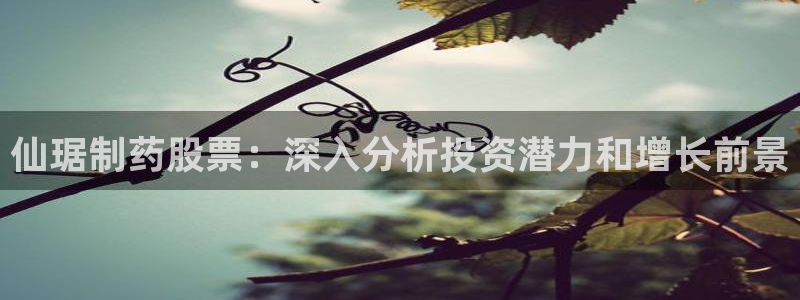 九游会老哥俱乐部：仙琚制药股票：深入分析投资潜力和增长前景