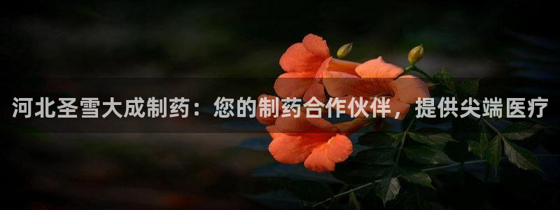 九游会老哥：河北圣雪大成制药：您的制药合作伙伴，提供尖端医疗