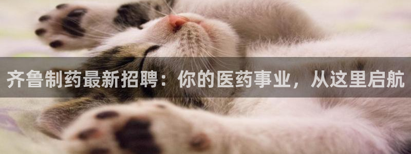 九游老哥俱乐部官网登录入口：齐鲁制药最新招聘：你的医药事业，从这里启航