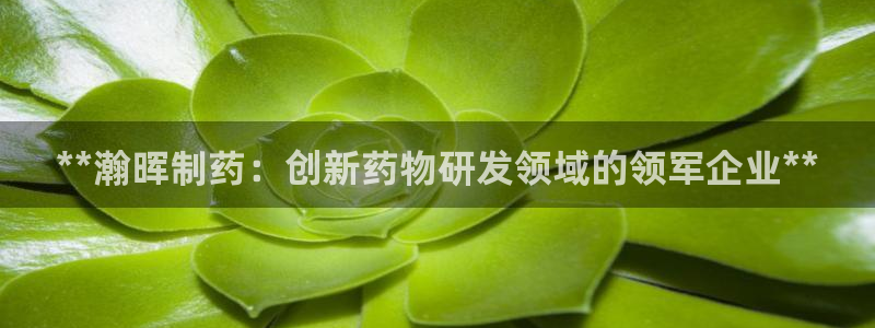 九游老哥俱乐部官网登录网址：**瀚晖制药：创新药物研发领域的领军企业**