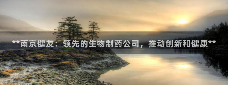 ag九游会老哥：**南京健友：领先的生物制药公司，推动创新和健康**