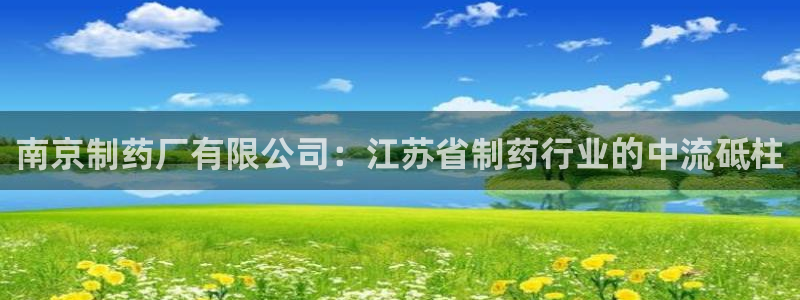 九游会老哥必备的交流社区九：南京制药厂有限公司：江苏省制药行业的中流砥柱