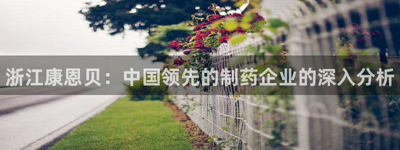 老哥俱乐部是干什么的：浙江康恩贝：中国领先的制药企业的深入分析