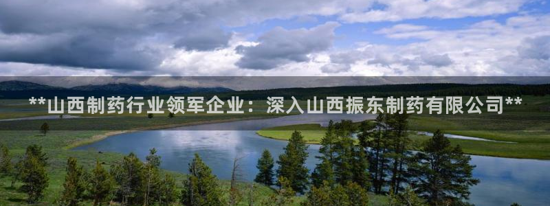 usdt九游会老哥俱乐部：**山西制药行业领军企业：深入山西振东制药有限公司**