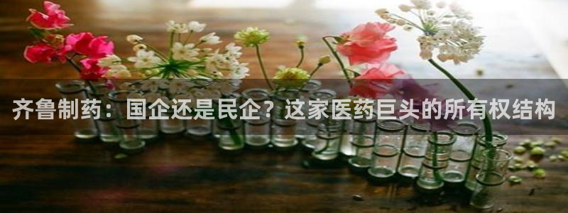 九游会老哥俱乐部社区论坛：齐鲁制药：国企还是民企？这家医药巨头的所有权结构