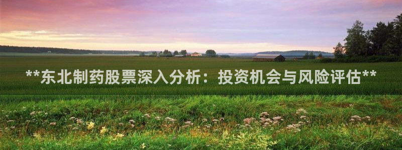 九游会老哥俱乐部官网首页论坛：**东北制药股票深入分析：投资机会与风险评估**