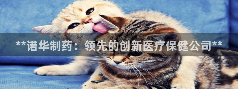 ag九游会老哥俱乐部：**诺华制药：领先的创新医疗保健公司**
