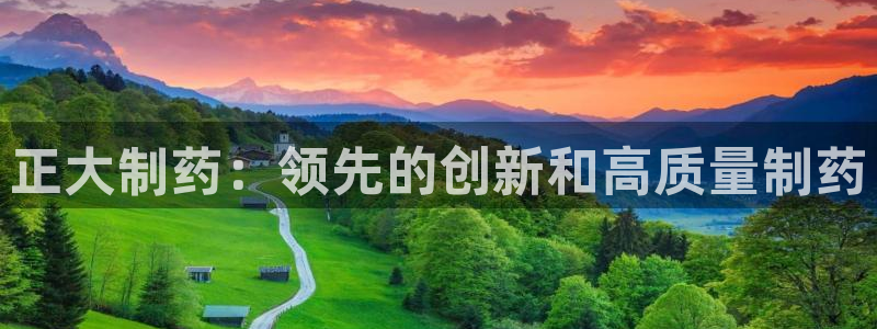 老哥俱乐部是干什么的啊：正大制药：领先的创新和高质量制药