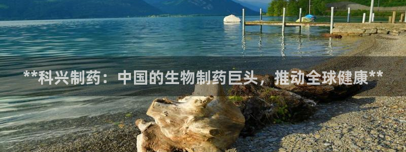 九游会老哥俱乐部社区论坛：**科兴制药：中国的生物制药巨头，推动全球健康**