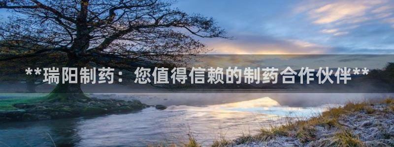 九游会老哥：**瑞阳制药：您值得信赖的制药合作伙伴**
