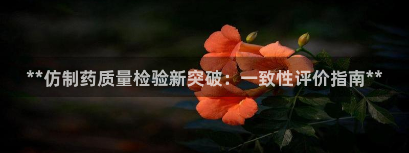 九游会老哥必备的交流社区：**仿制药质量检验新突破：一致性评价指南**