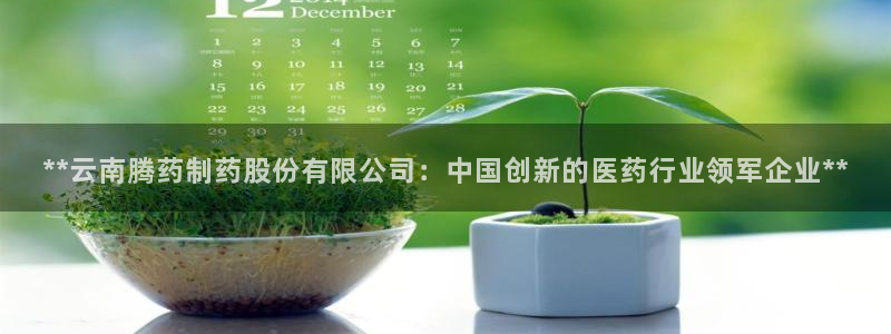 九游会老哥俱乐部必备的交流社区：**云南腾药制药股份有限公司：中国创新的医药行业领军企业**