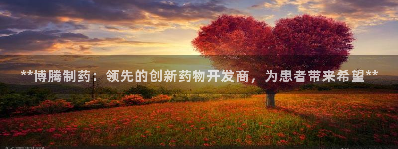 9游会老哥：**博腾制药：领先的创新药物开发商，为患者带来希望**