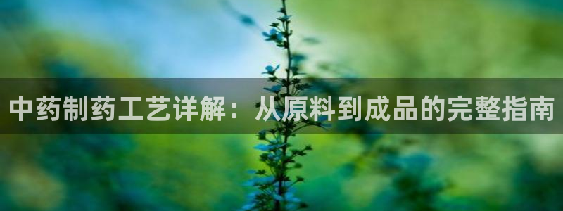 老哥吧九游会：中药制药工艺详解：从原料到成品的完整指南