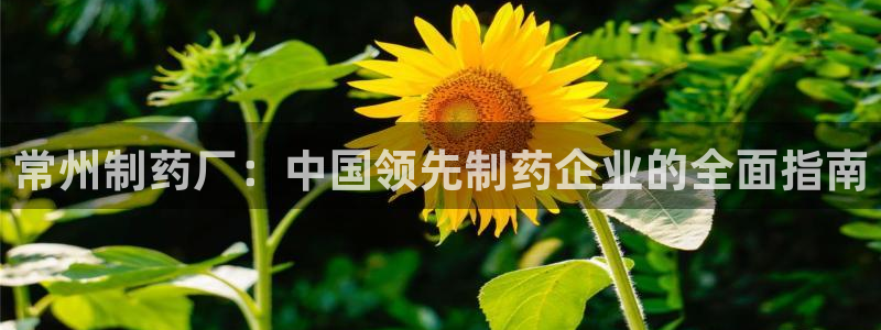 九游会老哥俱乐部必备的交流社区：常州制药厂：中国领先制药企业的全面指南