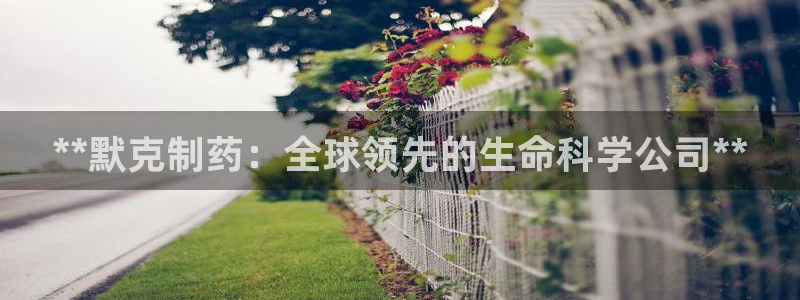 ag九游会老哥：**默克制药：全球领先的生命科学公司**