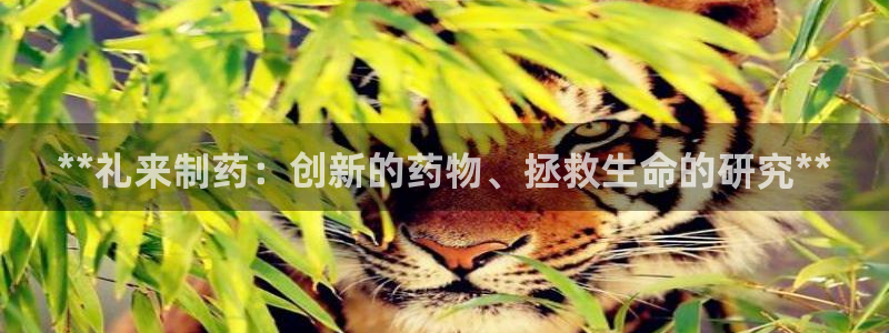 九游会老哥必备的交流社区九：**礼来制药：创新的药物、拯救生命的研究**