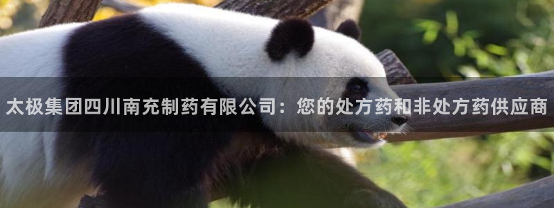 j9九游会老哥俱乐部交流区：太极集团四川南充制药有限公司：您的处方药和非处方药供应商