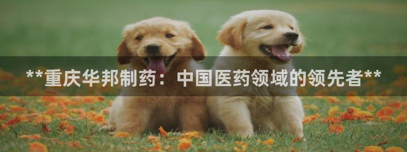 ag九游老哥俱乐部：**重庆华邦制药：中国医药领域的领先者**
