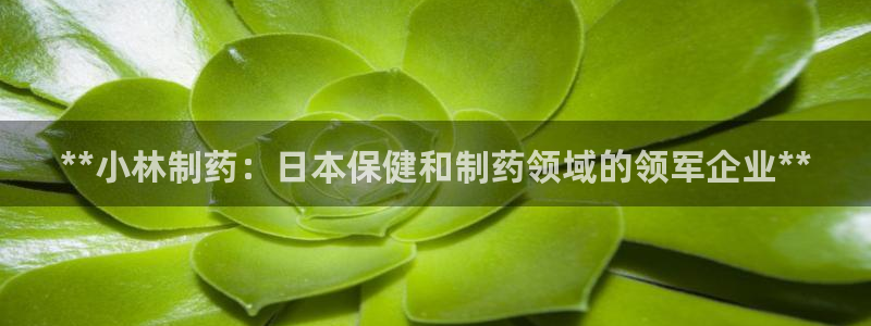 九游老哥俱乐部官网登录入口：**小林制药：日本保健和制药领域的领军企业**