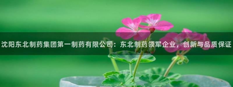 九游会老哥俱乐部官网首页：沈阳东北制药集团第一制药有限公司：东北制药领军企业，创新与品质保证