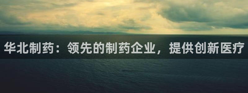 九游会老哥俱乐部官网首页论坛：华北制药：领先的制药企业，提供创新医疗