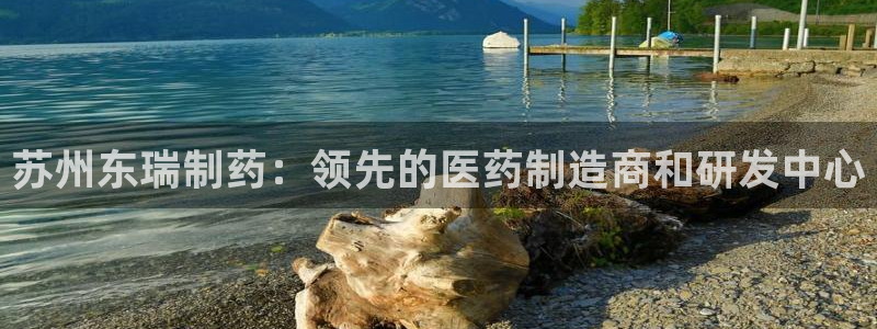 九游会老哥俱乐部官方网站：苏州东瑞制药：领先的医药制造商和研发中心