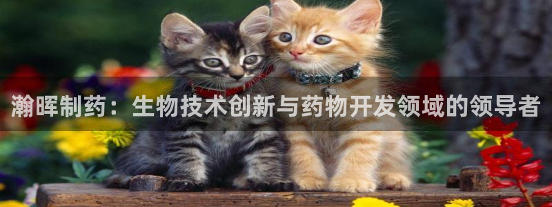 usdt九游会老哥俱乐部：瀚晖制药：生物技术创新与药物开发领域的领导者